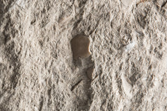 Manhattan - Split Face